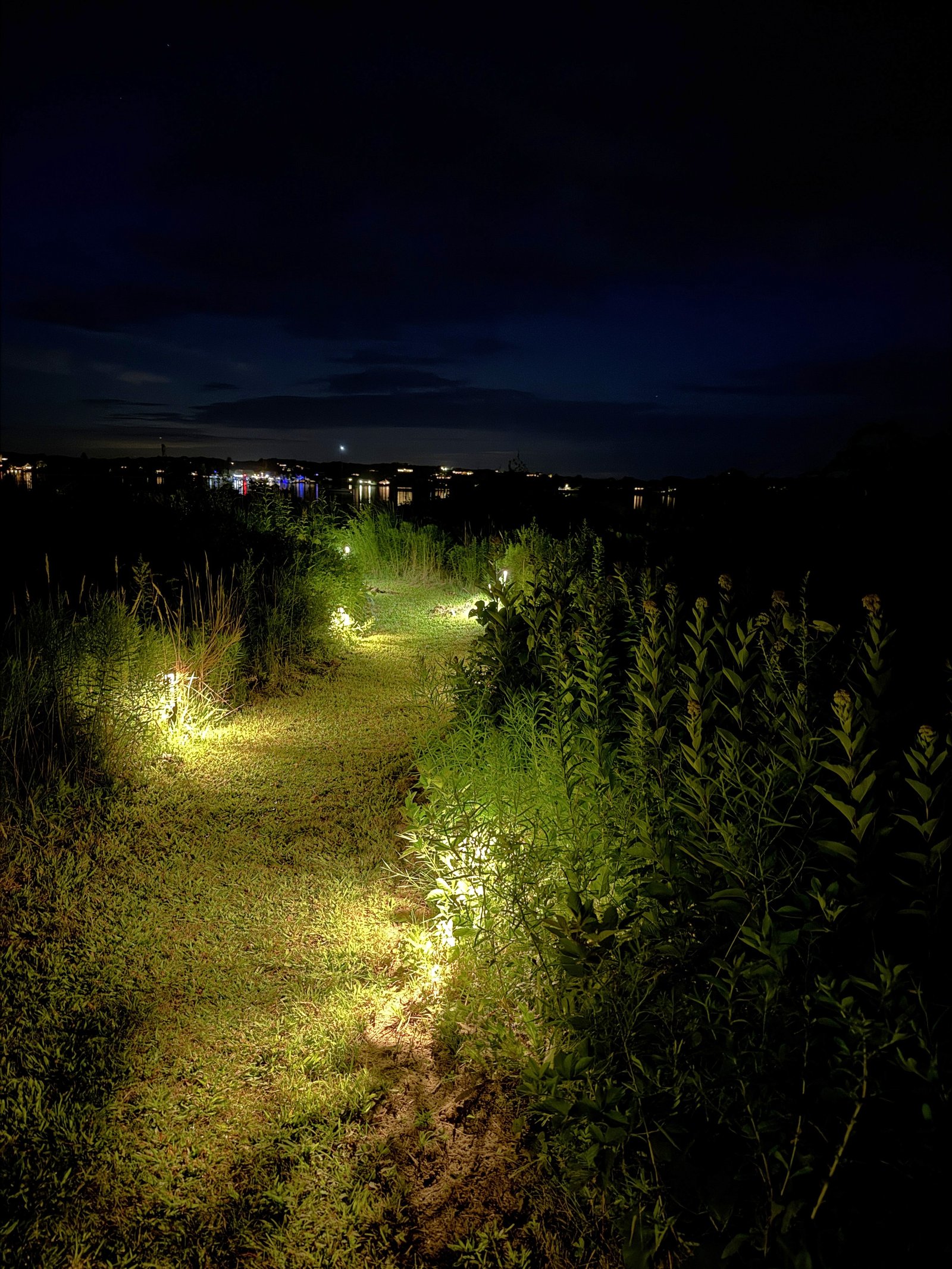 lighted path through meadow to water in evening.
