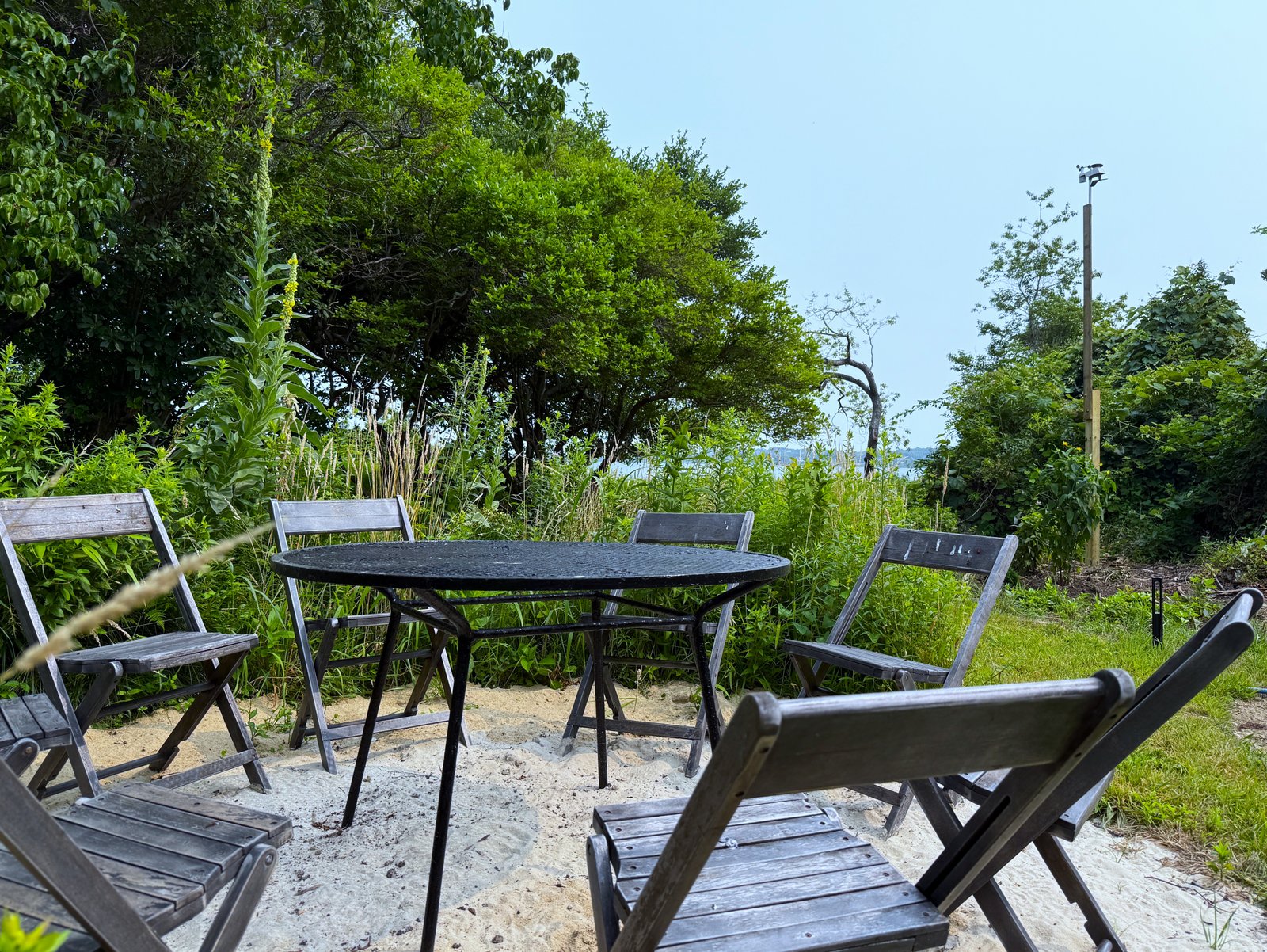 social zone behind house (9242)