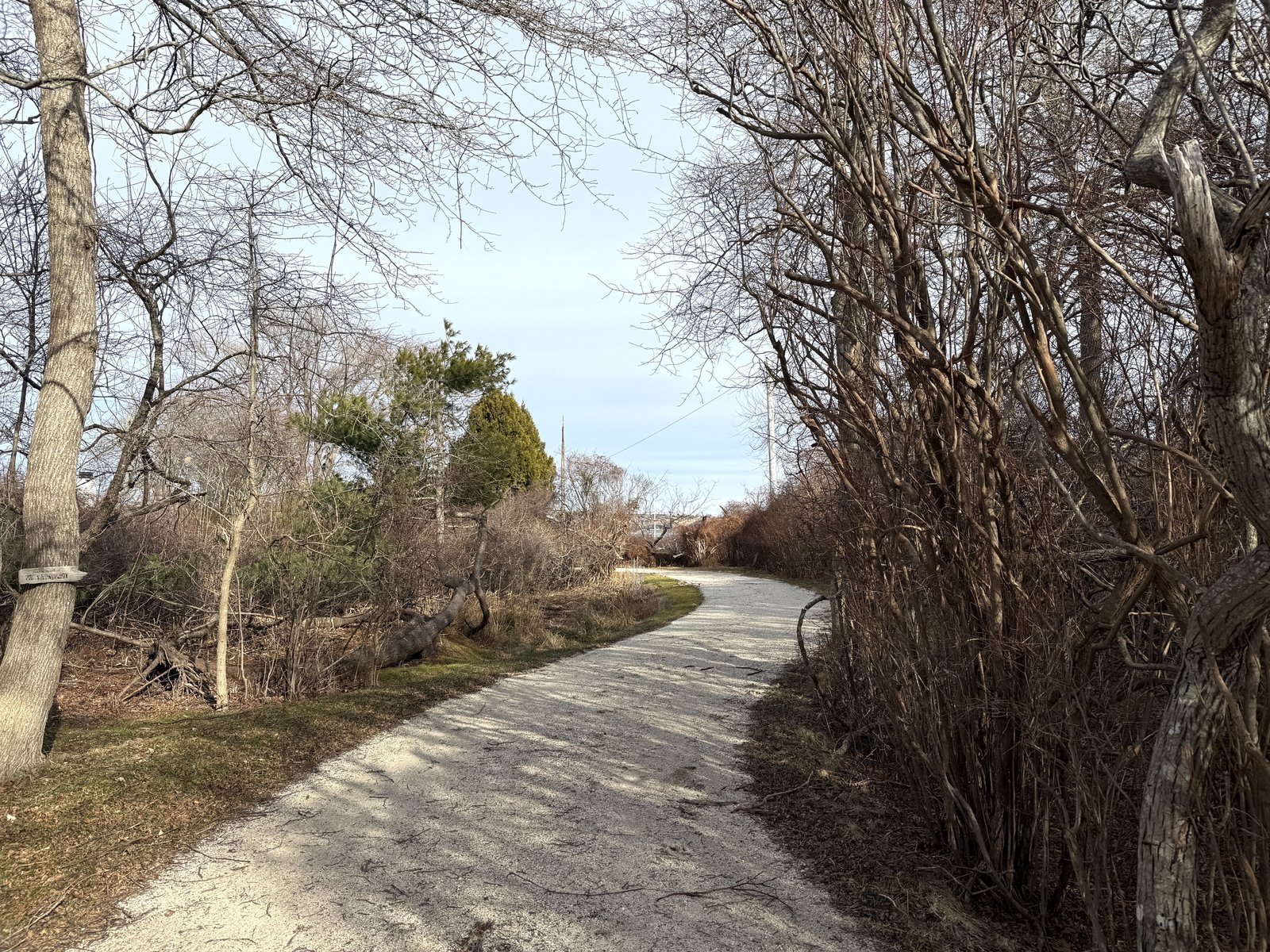 an s-curved driveway of stone dust in the early spring