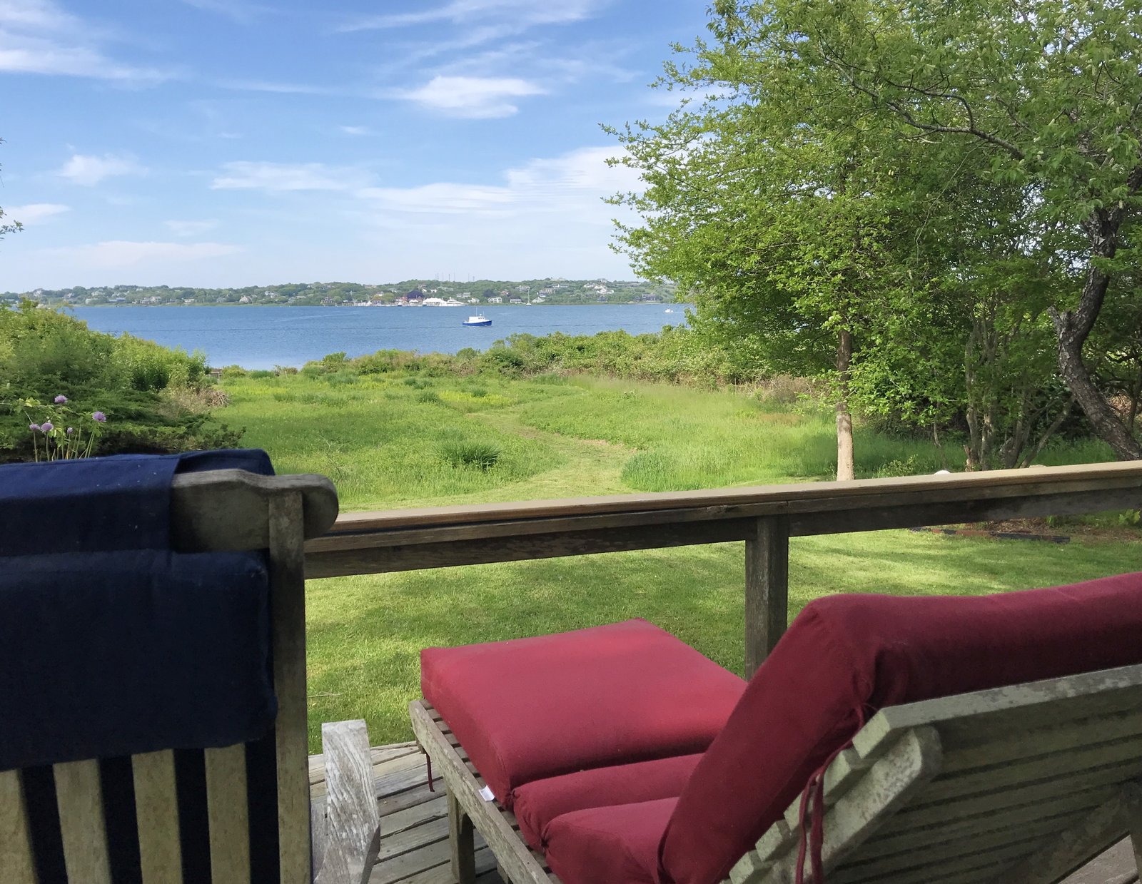 View from the Deck Chairs